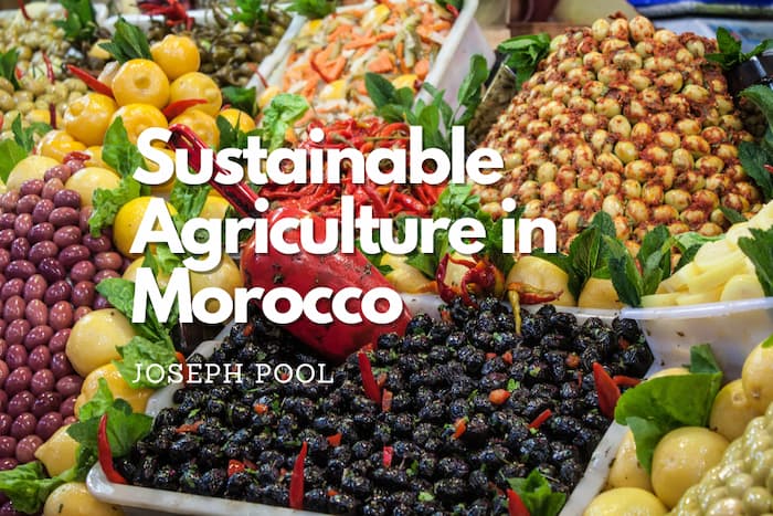 Sustainable Agriculture in Morocco